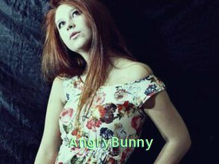 AngryBunny