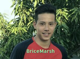BriceMarsh