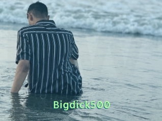 Bigdick500