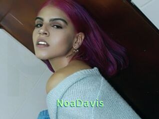 NoaDavis
