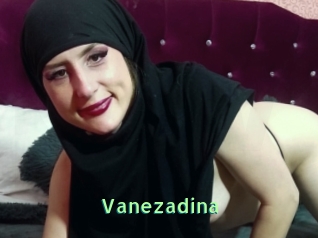 Vanezadina