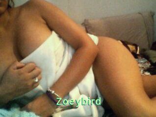 Zoeybird